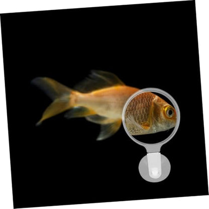Didiseaon 4pcs Clear Acrylic Magnifier with Cup for Fish Tank Observation Lens for Plants and Animals Easy Installation and Use