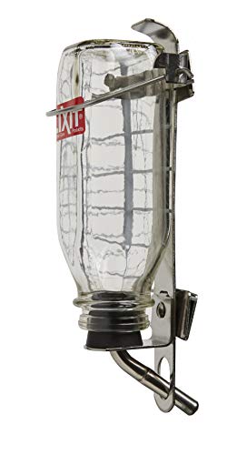 Lixit Pet Glass Water Bottle, 32-Ounce - size: 32 oz Large Tube