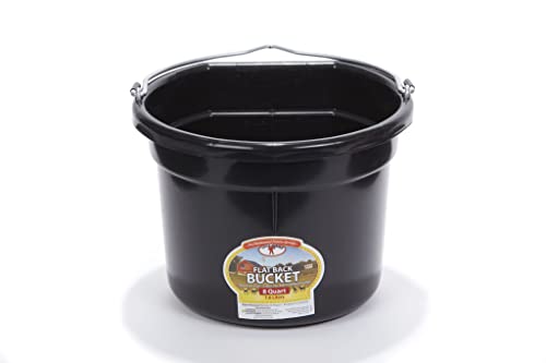 Little Giant® Flat Back Plastic Animal Feed Bucket | Animal Water and Feed Bucket with Metal Handle | 8 Quarts | Black - color: Black