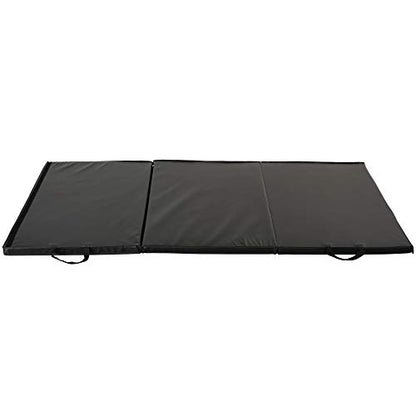 Sunny Health & Fitness Durable Multi-Use Floor Mats for Home, Gym & Play | Exercise Floor Mat, Cushioned Support, Connect Multiple Mats, Easy-Clean Surface, Home Gym, Playroom, Floor Protection - style: 6 FT x 3 FT