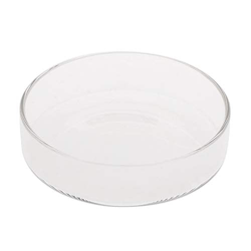 Youngy Arrival Fish Tank Feeder Aquarium Shrimp Glass Feeding Bowl Dish Tray 6 Size - D
