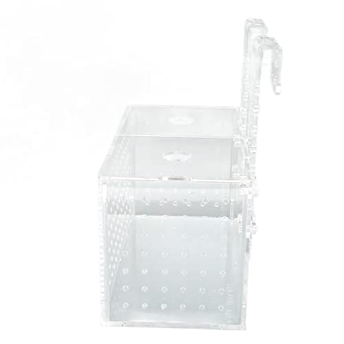 Transparent Fish Breeding Isolation Box with Lid for Aquarium 23x11x12cm Easy Hook Installation Hatchery for Small Fish (20 * 10 * 11CM)