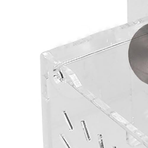 Fish Breeding Box, Transparent Acrylic Fish Isolation Box with Isolation Board, Fish Separator for Aquarium Fish Breeding, Shrimp Clownfish Guppy (10CM*10CM*10CM) - size: 10CM*10CM*10CM