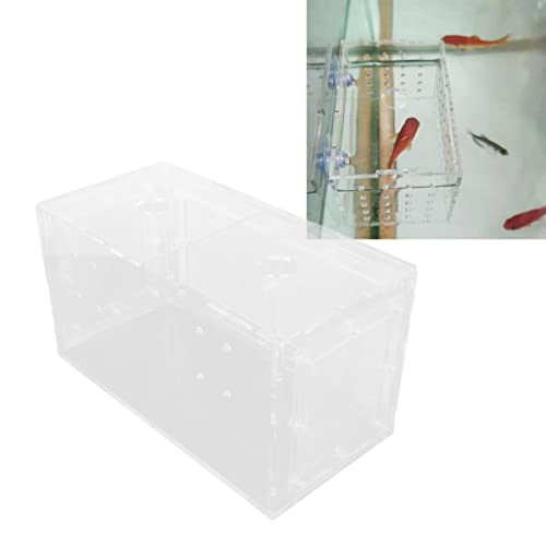 Fish Breeding Box, Acrylic Aquarium Acclimation Hatchery Incubator , Adjuatable Hook Fixing Fish Isolation Box with Lid and Mesh for Baby Fishes, Shrimp, Clownfish, Guppy