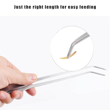 3Pcs Reptile Metal Feeding Tongs, Snake Tank Long Tweezers Fit Bearded Dragon Tarantula Spider Gecko Lizard Frog Turtle Ball Python Aquarium Terrarium