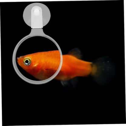 COLLBATH 4pcs Acrylic Glass for Fish Tank and Reptile Observation High Definition Viewer with Cup for -Landscapes and Animals