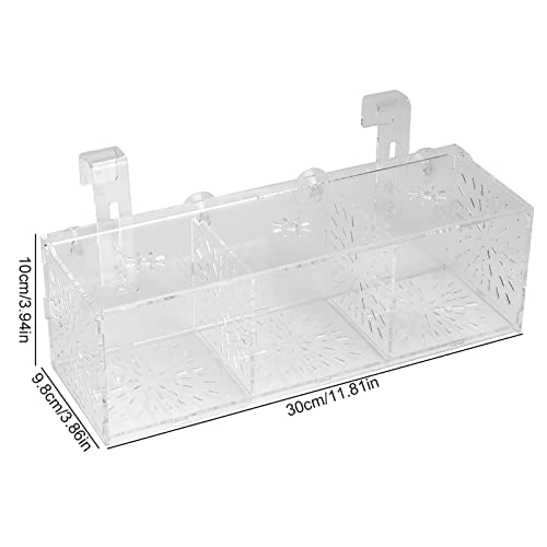 Transparent Acrylic Fish Tank Breeding Box, Aquarium Isolation Incubator, Separation Breeder Box for Fish, 30 cm x 10 cm x 10 cm