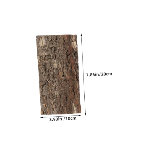 BESPORTBLE 3pcs Reptile Cork Bark Background for Terrarium Natural Tree Bark Decor for Fish Tank and Reptile Habitat and Safe Wall Decor
