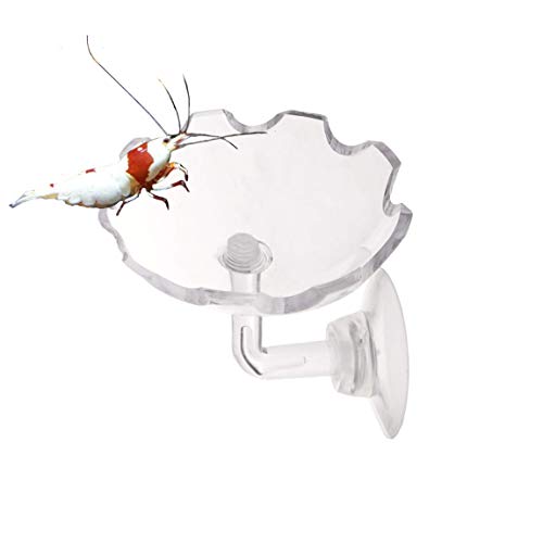 Shrimp Feeding Dish Shrimp Feed Dish, High Transparent Acrylic Material