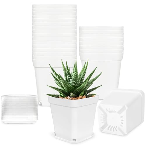 24Pcs 3" Square Plastic Plant Pots,White Nursery Pots with Saucers,Seedling Nursery Transplanting Planter Container for Plants,Garden,Flower,Home,Office,Balcony Decor,Indoor,Outdoor - color: White