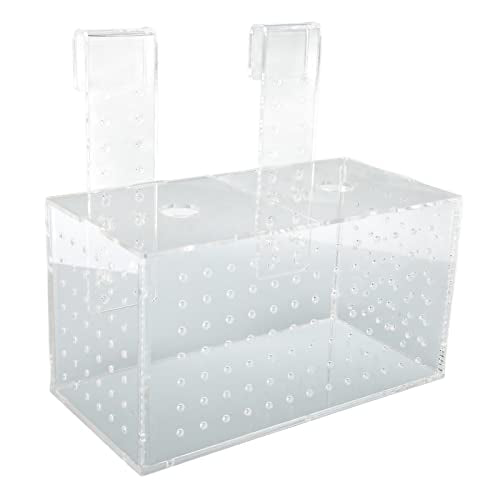 Transparent Fish Breeding Isolation Box with Lid for Aquarium 23x11x12cm Easy Hook Installation Hatchery for Small Fish (20 * 10 * 11CM)