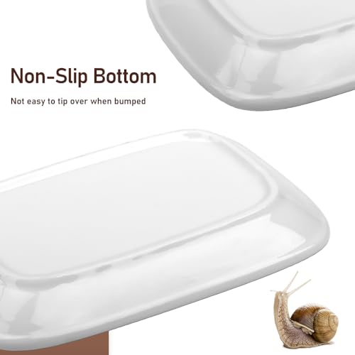 2 Pcs Small Reptile Feeding Dish Ceramic Eating Basin Feeding Bowl for Hermit Crab Snail Cricket Insect Invertebrate Isopod
