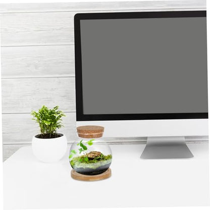 MAGICLULU 2Set Hydroponic Plant Vases Small Glass Betta Tanks with Lid and Mat for Desktop Decoration for Plant Lovers and Home Office Decor