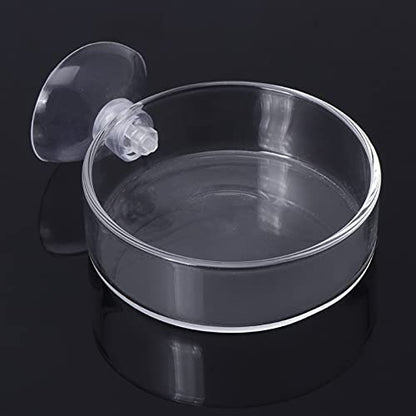 Fish for Tank Feeder Aquarium Shrimp Glass Feeding Bowl Clear Dish T Aquarium Fish Tank Landscaping Plant Landscape Fishtank Artificial Simulation Plant Biological Landscape Artificial