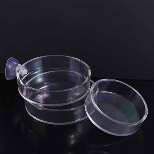 Shrimp Food Box, Round/Square Practical Fish Feeding Bowl, Acrylic Transparent Aquarium Accessories Fish Feeding Dish Shrimp Food Feeding Circle(D)
