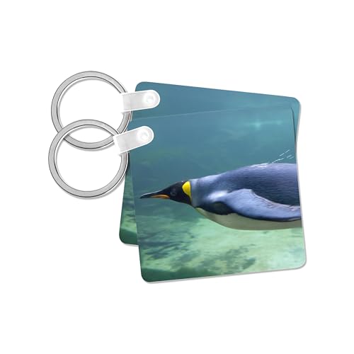 3dRose, South Africa, Cape Town, Aquarium King penguin -AF42 CMI0073 - Cindy Miller Hopkins, Key Chain