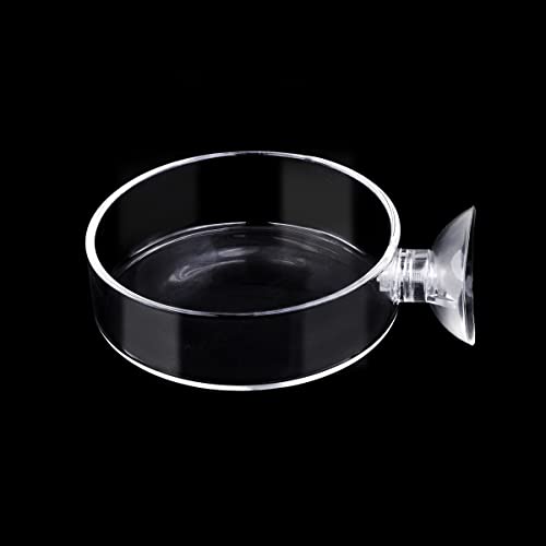 Aquarium Glass Feeder Shrimp Feeding Dish Round Clear Fish Tank Food Tray Container Prevent Food Spilling with Suction Cup, 60mm - size: 60mm