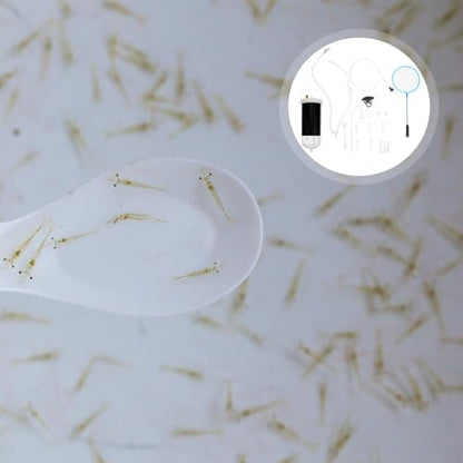 SEWACC Brine Shrimp Hatchery Box Plastic Breeding Incubator Container Shrimp Egg Hatching Tank for Aquarium Fish and Aquatic Pets