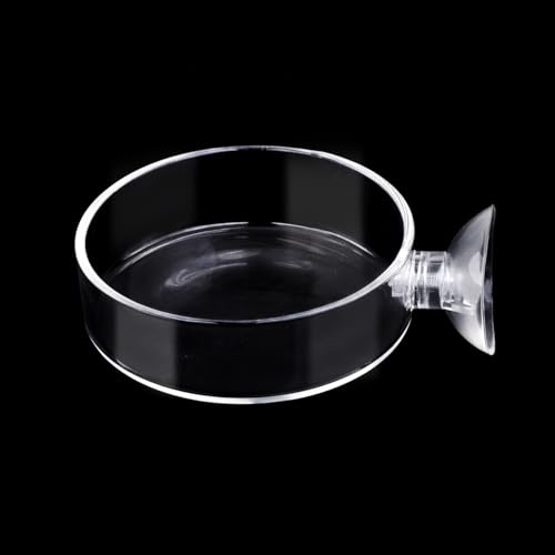 Aquarium Glass Feeder Shrimp Feeding Dish Round Clear Fish Tank Food Tray Container Prevent Food Spilling with Suction Cup, 65mm - size: 65mm