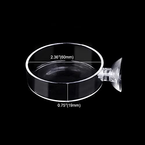 60mm Aquarium Shrimp Feeder Dish with Suction Glass Fish Tank Feeding Bowls Round Clear Dishes Tray