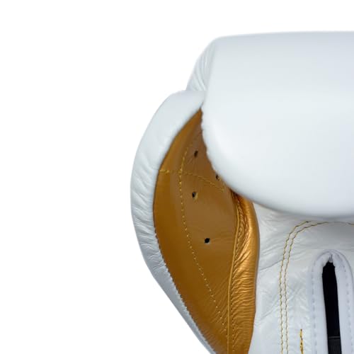 CLETO REYES Training Boxing Gloves for Men and Women with Hook and Loop Closure, Premium Synthetic Leather, MMA, Kickboxing, Muay Thai - size: 16oz.