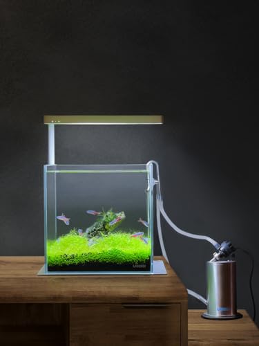 20C 2 Gallon Cube Rimless Low Iron Clear Aquarium Tank, All Glass Aquarium,Small Betta Fish Tank,W7.8×D7.8×H7.8 in(20x20x20cm) 5mm Thickness with Nano Foam Leveling Mat - size: 02Gal W7.8×D7.8×H7.8 in(20x20x20cm)