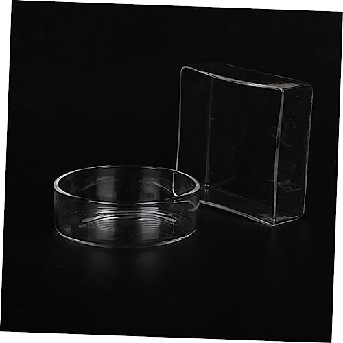 BESPORTBLE 3pcs Round Shrimp Feeding Bowl Aquarium Shrimp Feeder Dish Glass Bowl Crystal Supplies Pet Food - size: Size 1