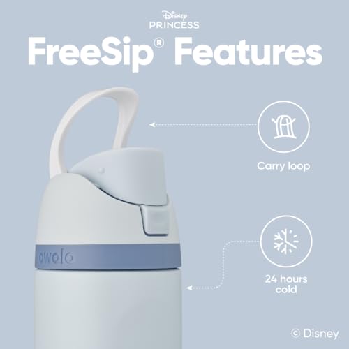 Owala Princess FreeSip Stainless Steel Water Bottle 24 oz Cinderella - color: Cinderella, size: 24 Ounces