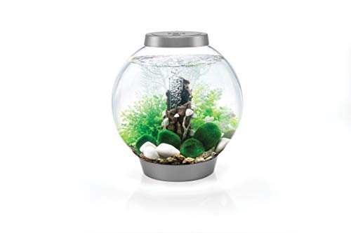 biOrb Fairy Tale Décor Set, Green Forest Themed Collection of Fish Friendly Aquarium Decorations