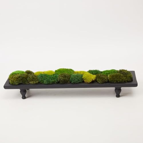 Only Moss No Bowl 4 Color Mix Pack Preserved Pole Moss Pillow Bun Cushion Natural Decorative Green DIY Kit Art Wall Florist Easter Decor (1.5 sq.ft, Green-A,B,C,D) - color: Color Mix-green-(a+b+c+d), size: 1.5 sq.ft.