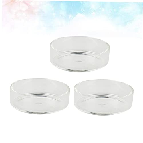 BESPORTBLE 3pcs Round Shrimp Feeding Bowl Aquarium Shrimp Feeder Dish Glass Bowl Crystal Supplies Pet Food - size: Size 1