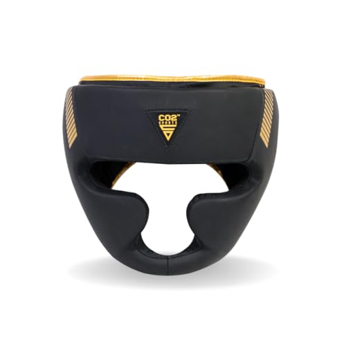 Titan Boxing Headgear, Training Head Guard, Protective Gear for MMA, Kickboxing, Muay Thai - color: GOLD, size: Large-X-Large
