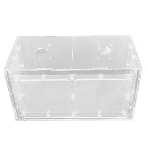 Fish Breeding Box, Acrylic Aquarium Acclimation Hatchery Incubator , Adjuatable Hook Fixing Fish Isolation Box with Lid and Mesh for Baby Fishes, Shrimp, Clownfish, Guppy