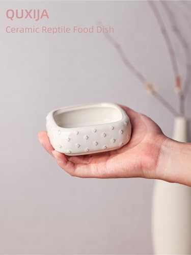 2-Pcs Ceramic Reptile Food Bowl, Mini Reptile Feeder (Farmhouse White) - color: Farmhouse White