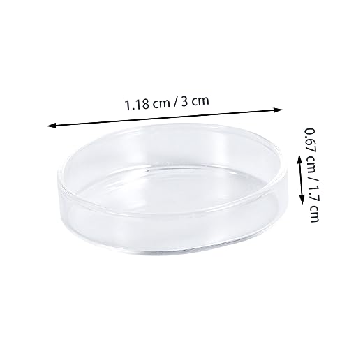 Angoily 3pcs Glass Shrimp Food Basin for Small Fish Round Feeding Dish Glass for Shrimp Fish and Reptiles