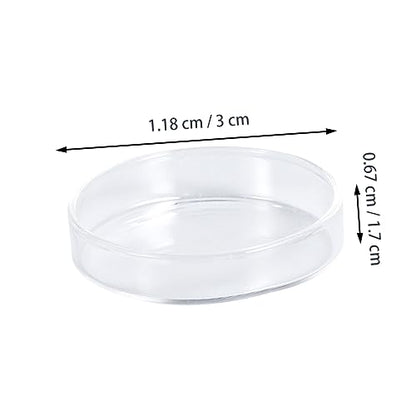 Angoily 3pcs Glass Shrimp Food Basin for Small Fish Round Feeding Dish Glass for Shrimp Fish and Reptiles