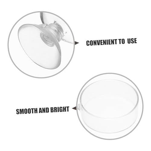 BESPORTBLE 2pcs Glass Shrimp Feeder Dishes for Aquariums Easy to Install Crystal Feeding Bowls for Shrimp and Fish Food Convenient and Practical Aquarium Accessories