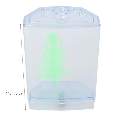 Mini Fish Breeding Box Acrylic Isolation Tank with Dirt Groove for Aquarium Fish Observation and Protection (Single)