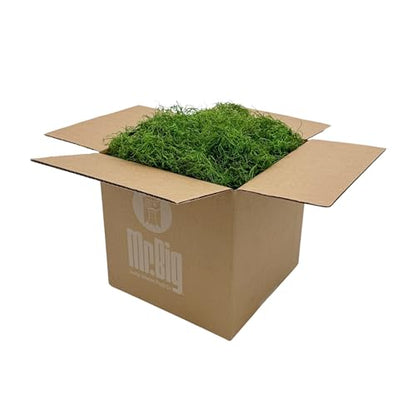 Preserved Spanish Moss - Decorative Moss - Dried Moss for Crafts, Home Decor, Art, Design & DIY Projects - for Indoor Use - Green Apple - Standard Box - Covers 10-12 sq. ft.