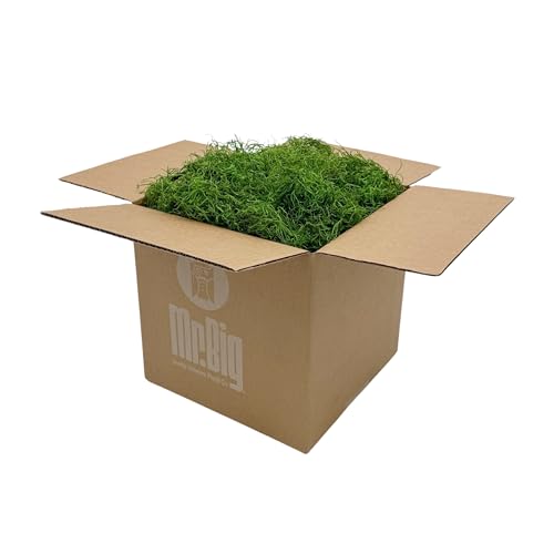 Preserved Spanish Moss - Decorative Moss - Dried Moss for Crafts, Home Decor, Art, Design & DIY Projects - for Indoor Use - Green Apple - Standard Box - Covers 10-12 sq. ft.