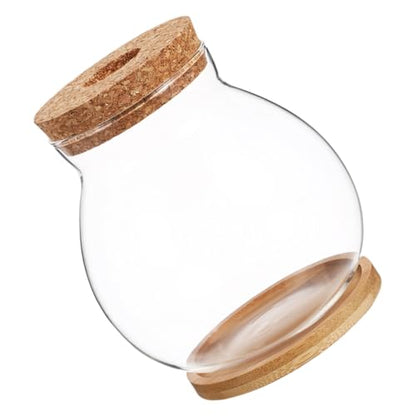 Hydroponic Glass Fish Bowl with Lid Small Desktop Aquarium 10x11cm Mini Glass Fish Tank with Mat for Office and Home Decor