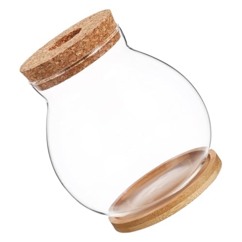Hydroponic Glass Fish Bowl with Lid Small Desktop Aquarium 10x11cm Mini Glass Fish Tank with Mat for Office and Home Decor