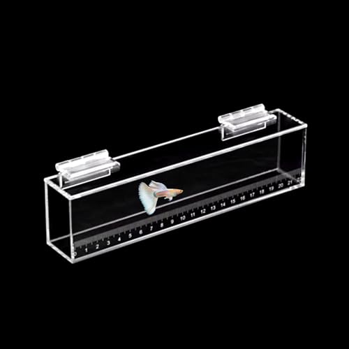 Fish Viewing Box Container with Lid and Scale,Acrylic Fishing Photo Tank Portable Fishing Mini Aquarium, Fish Breeder Hatching Boxes Clear Micro Landscape Fish Tank Isolation Breeder Box (L) - color: L