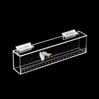 Fish Viewing Box Container with Lid and Scale,Acrylic Fishing Photo Tank Portable Fishing Mini Aquarium, Fish Breeder Hatching Boxes Clear Micro Landscape Fish Tank Isolation Breeder Box (L) - color: L