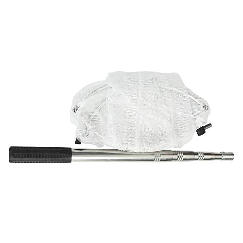 RESTCLOUD Insect and Butterfly Net with 12" Ring, 24" Net Depth, Handle Extends to 59 Inches - size: 12" Ring, 38" Strong Stainless Handle
