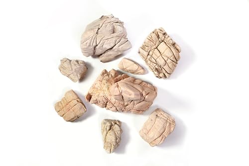 Elephant Skin Stone Natural Multi-Texture Rocks (18lbs, 3~9 inches,7pcs) for Aquarium, Paludarium, Terrariums, Landscaping, Decorative of Caves, Waterfalls, Cliffs - size: 11 Elephant Skin Stone(3-9 inches,18lbs)