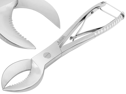 Coral Cutters 7.5" Crescent Style Heavy Duty Medical Grade Stainless Steel Fragging Tool for Reef & Marine Aquariums, Precision Coral Trimmer for SPS & LPS Corals