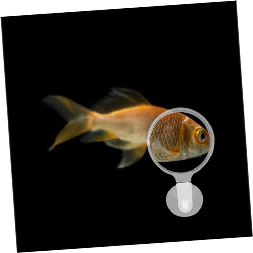 Aquarium Magnifier Suction Cup Betta Fish Micro Landscape Educational Tool