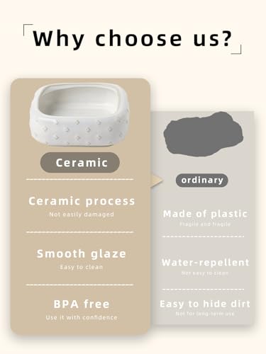 2-Pcs Ceramic Reptile Food Bowl, Mini Reptile Feeder (Farmhouse White) - color: Farmhouse White