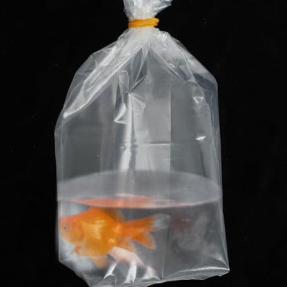 50pcs Small Fish Transport Bags with Gusseted Bottom, Aquatic Shipping Live Fish Containers, Oxygen Packaging Bags for Aquarium and Shrimp Transport